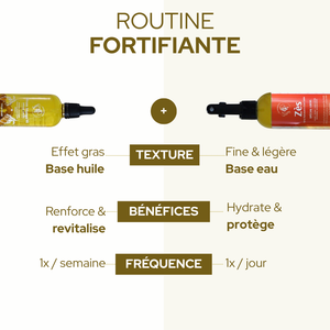 Duo Fortifiant - MANGO VÈ & ZÈS
